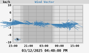 Wind Vector